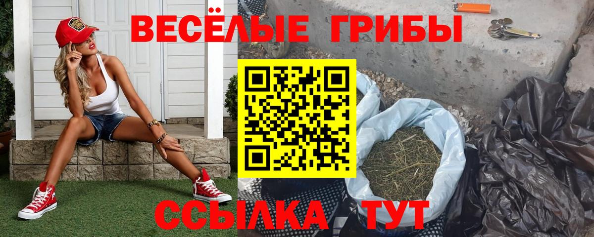Малоярославец  Псилоцибиновые грибы мухоморы  Вход с VPN 