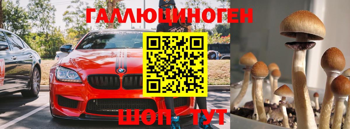 Псилоцибиновые грибы мухоморы Малоярославец